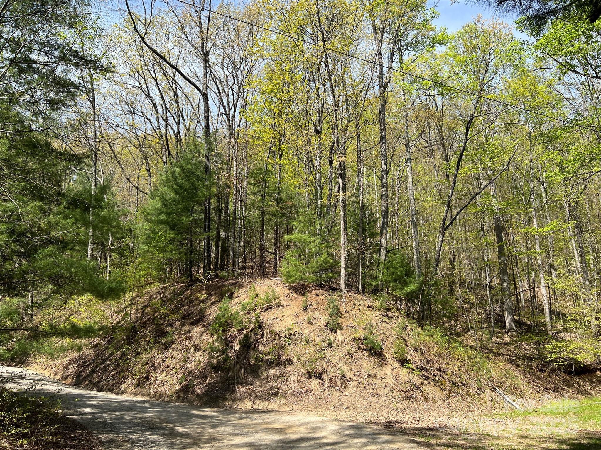 00 Hidden Trail Franklin NC 28734