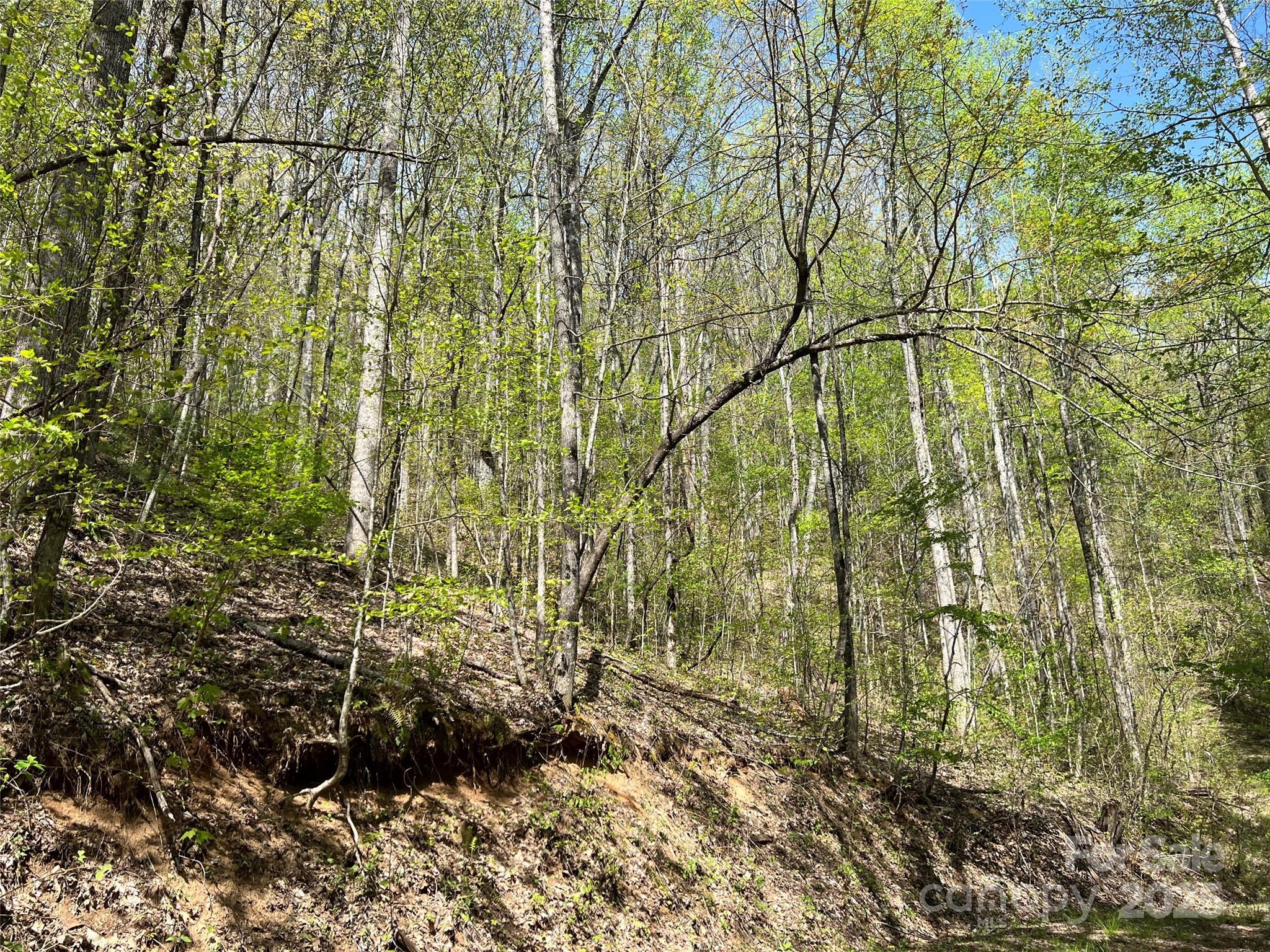 00 Hidden Trail Franklin NC 28734