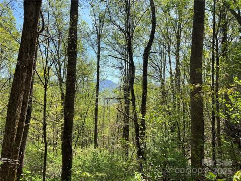 00 Hidden Trail Franklin NC 28734