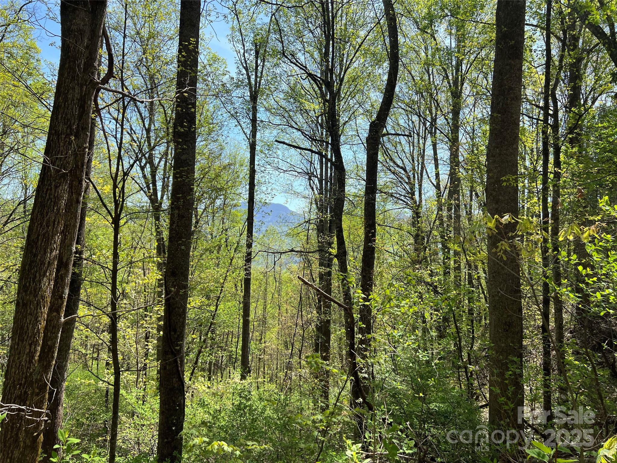 00 Hidden Trail Franklin NC 28734