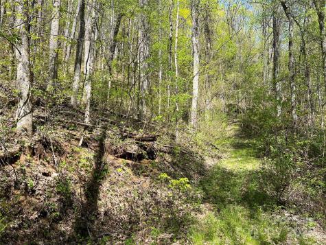 00 Hidden Trail Franklin NC 28734