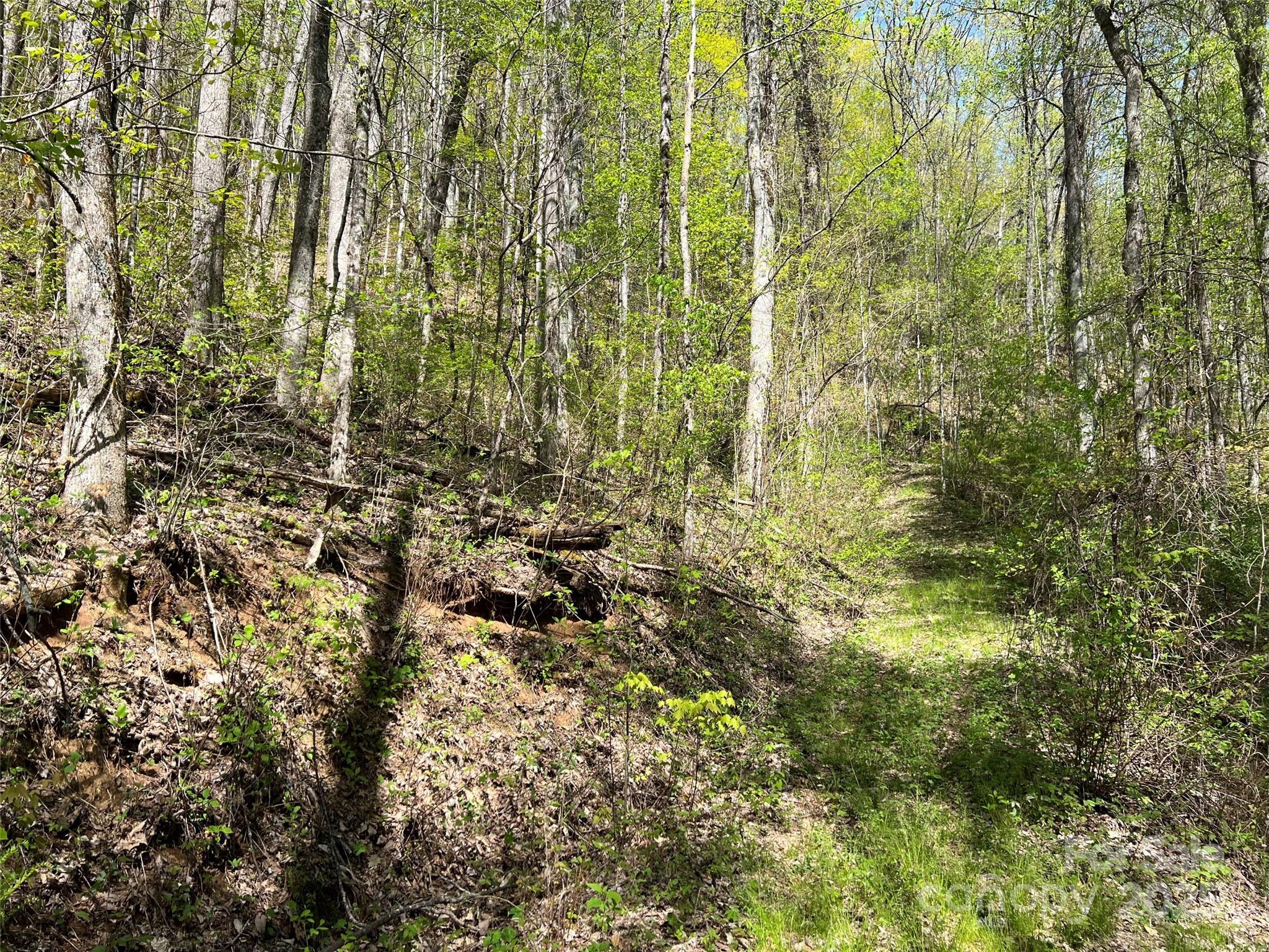 00 Hidden Trail Franklin NC 28734