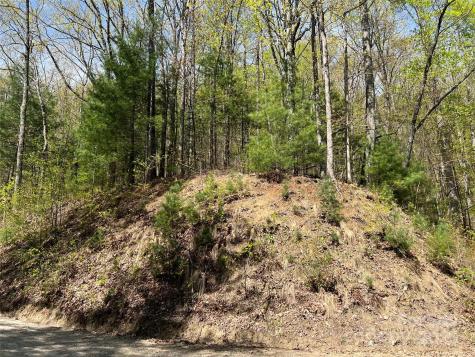 00 Hidden Trail Franklin NC 28734