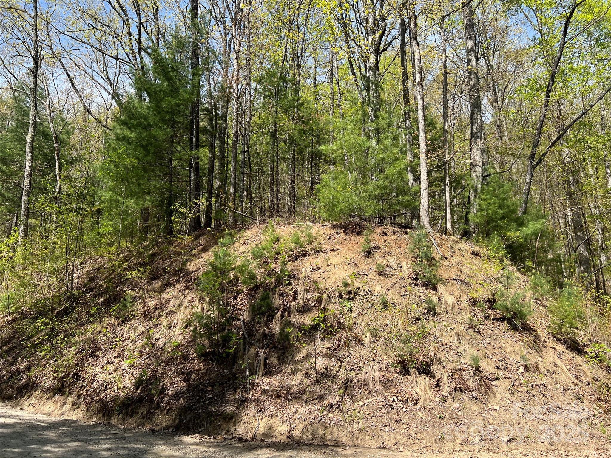 00 Hidden Trail Franklin NC 28734