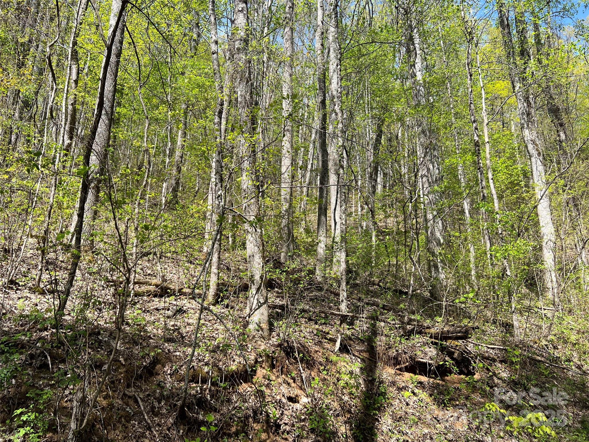 00 Hidden Trail Franklin NC 28734
