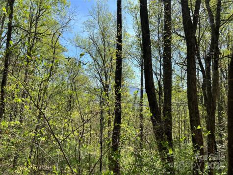 00 Hidden Trail Franklin NC 28734
