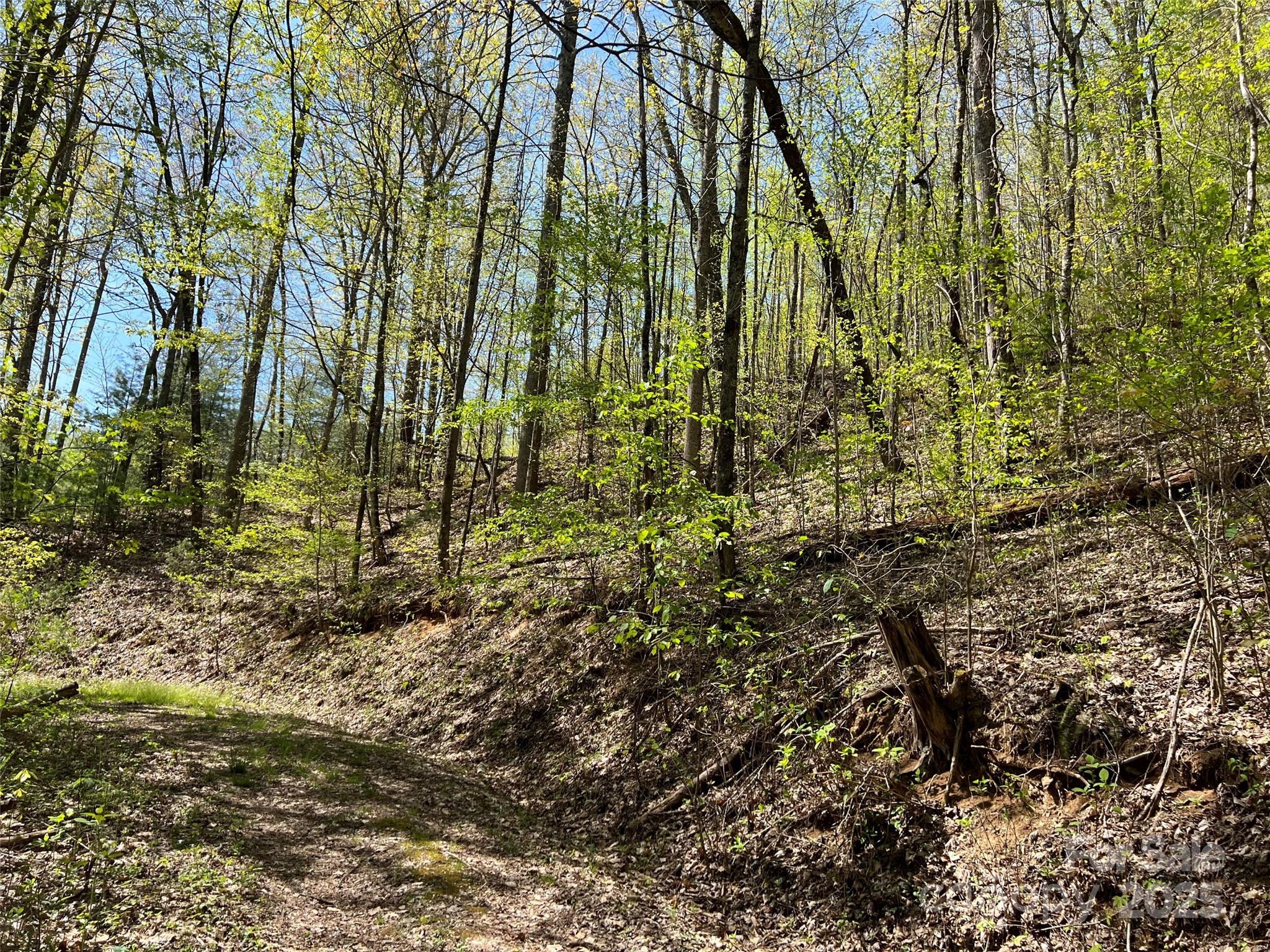 00 Hidden Trail Franklin NC 28734