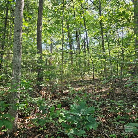 99999 Campground Road Asheville NC 28805