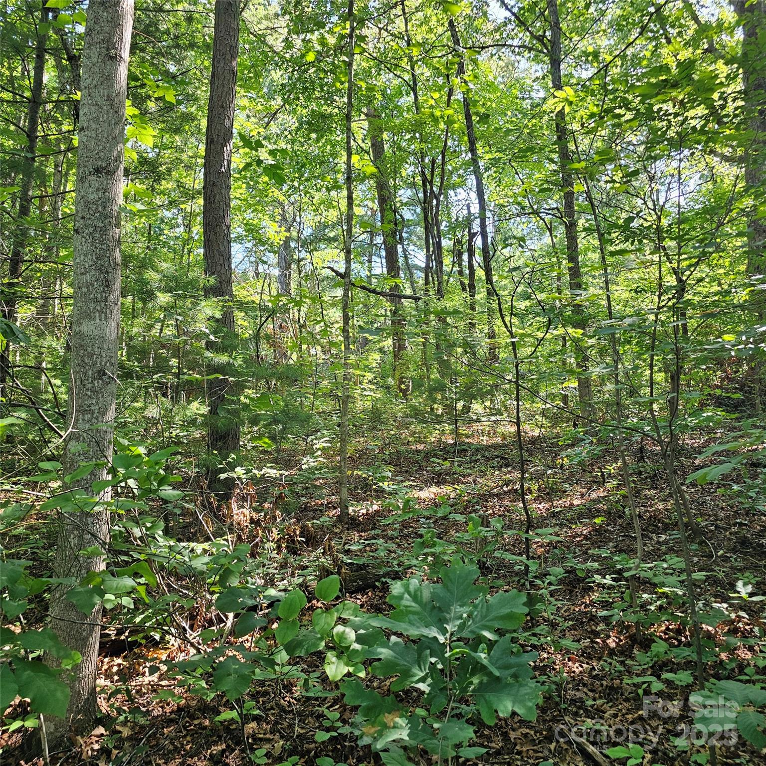 99999 Campground Road Asheville NC 28805
