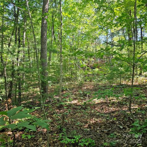 99999 Campground Road Asheville NC 28805