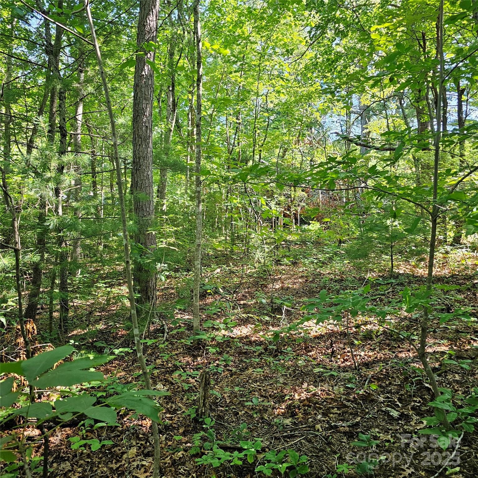 99999 Campground Road Asheville NC 28805