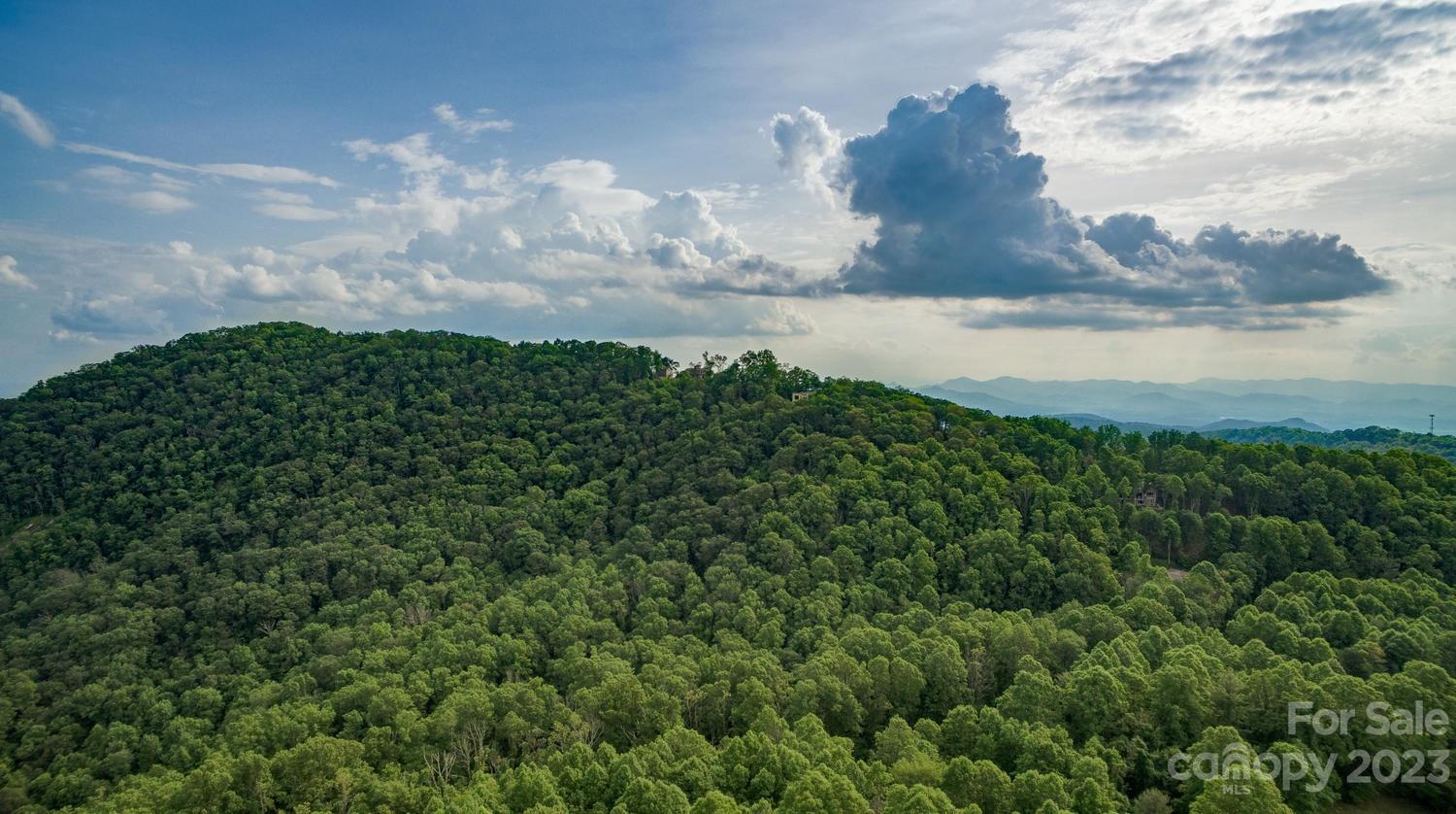 1300 Elk Mountain Scenic Highway Asheville NC 28804