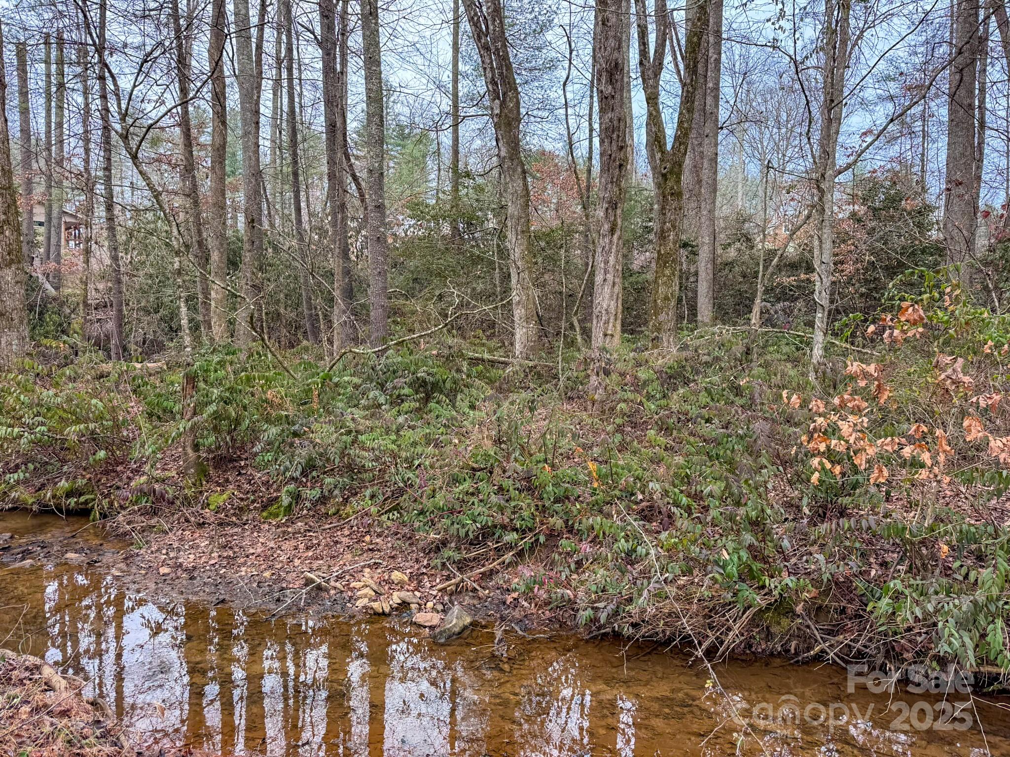 62 Crystal Cove Drive Hendersonville NC 28739