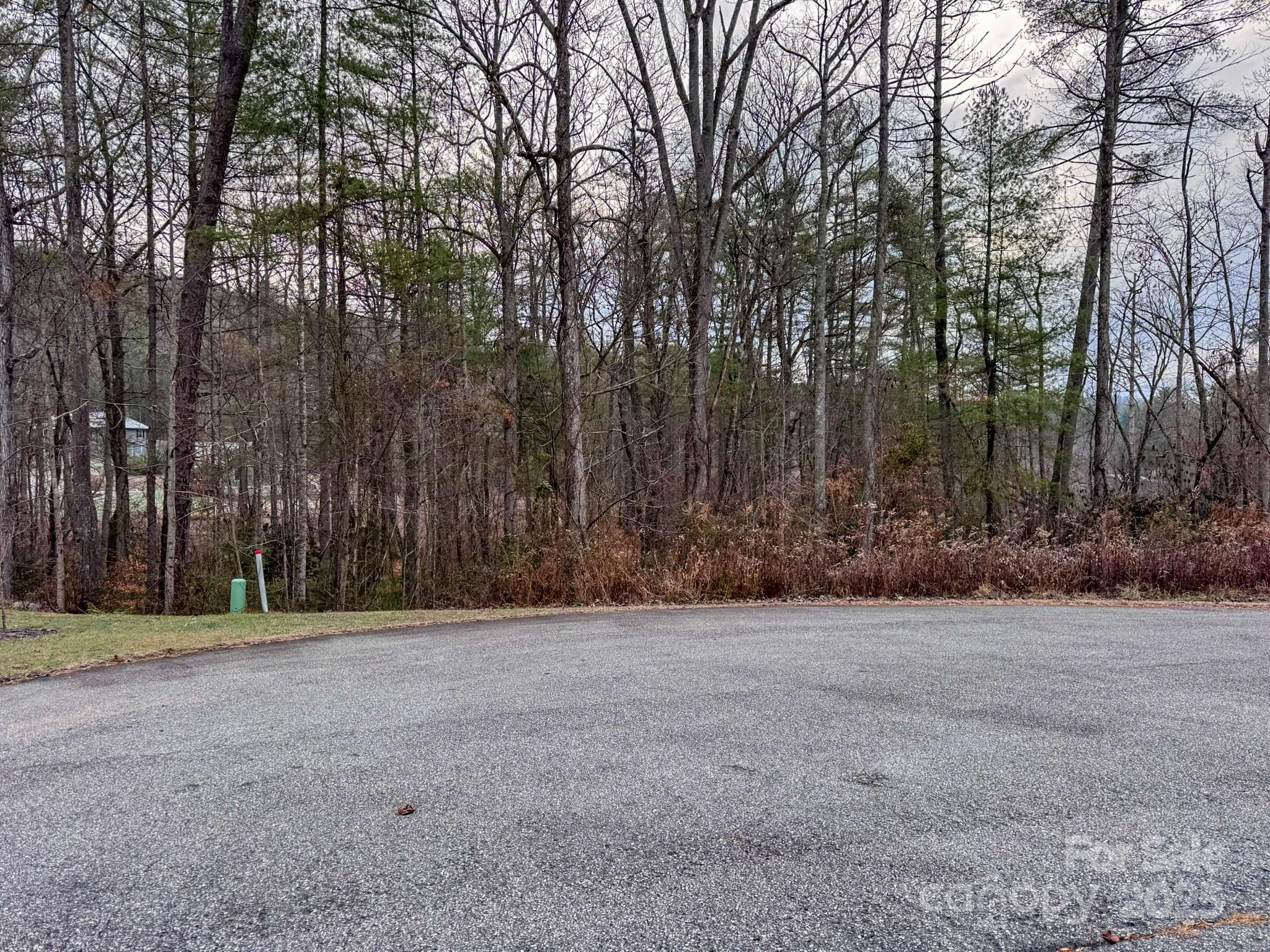 62 Crystal Cove Drive Hendersonville NC 28739