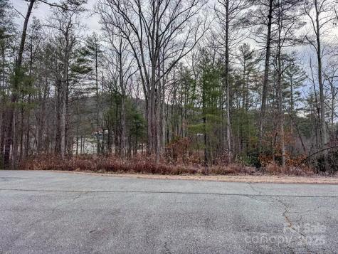 62 Crystal Cove Drive Hendersonville NC 28739