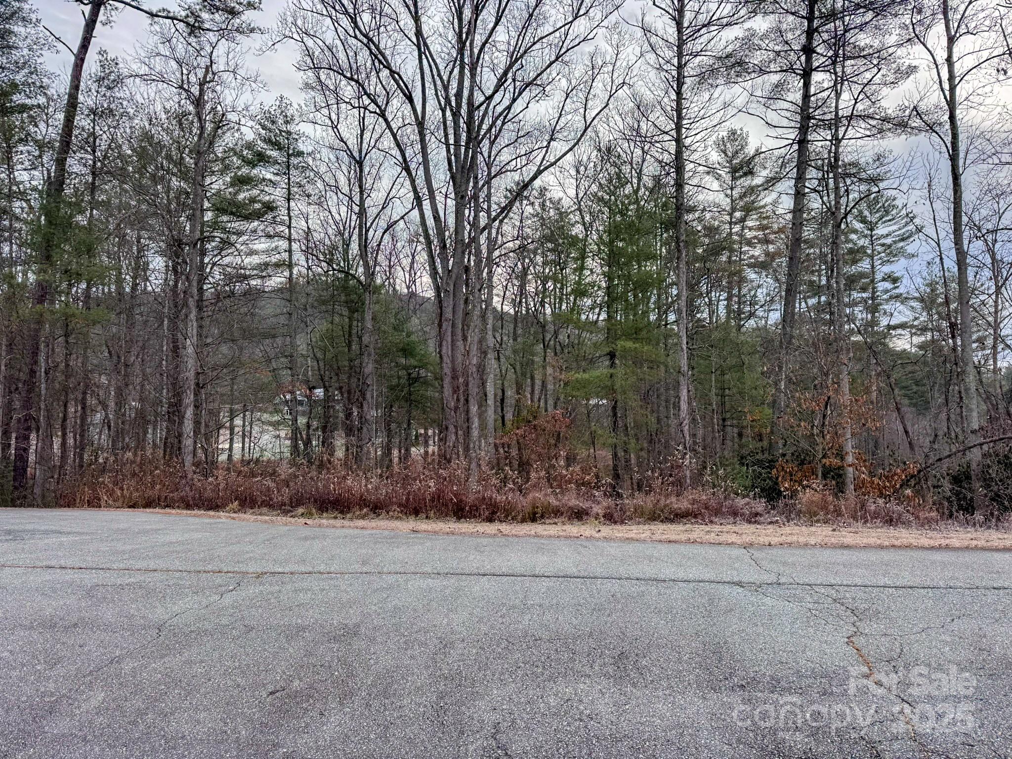 62 Crystal Cove Drive Hendersonville NC 28739