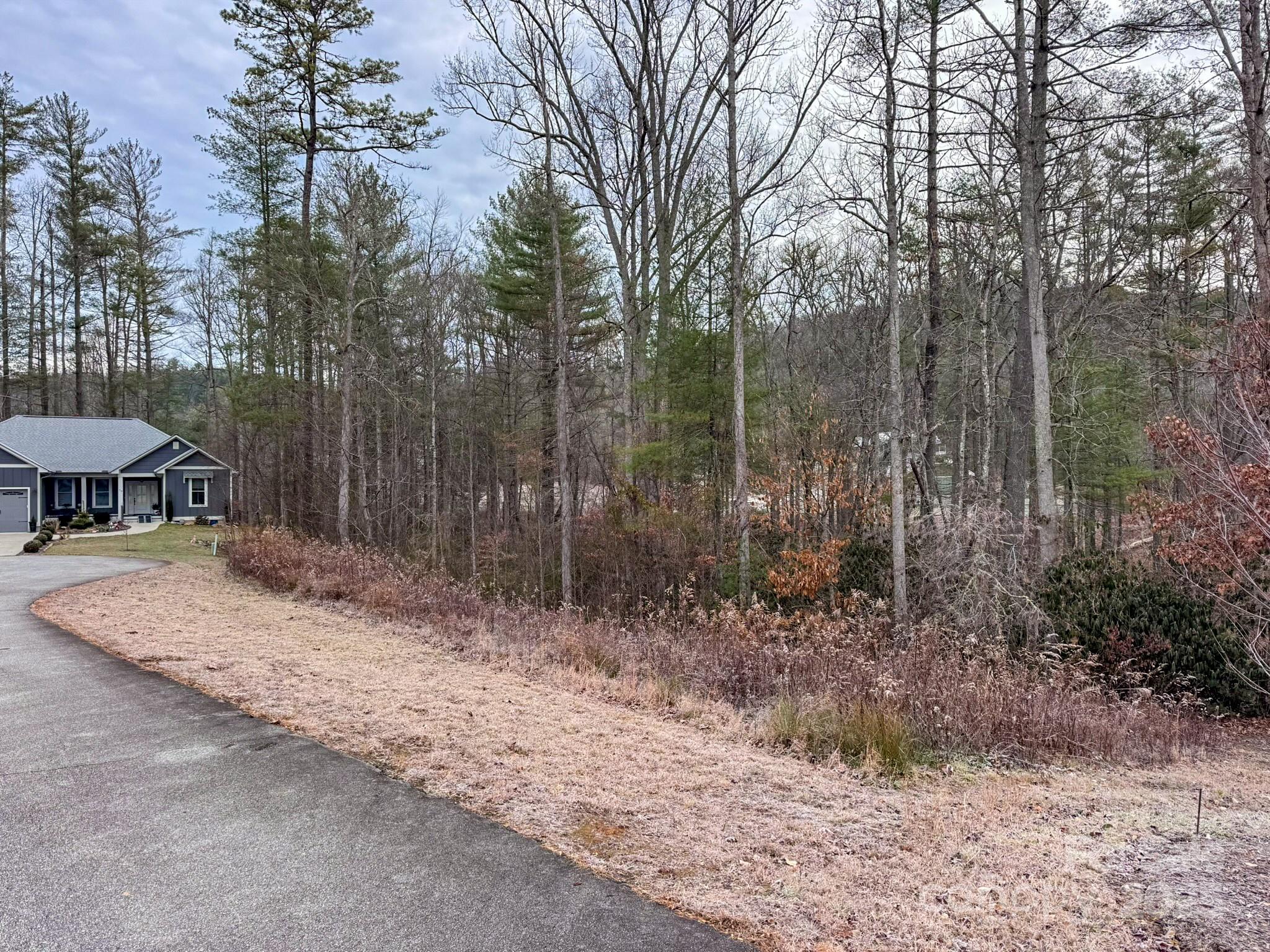 62 Crystal Cove Drive Hendersonville NC 28739
