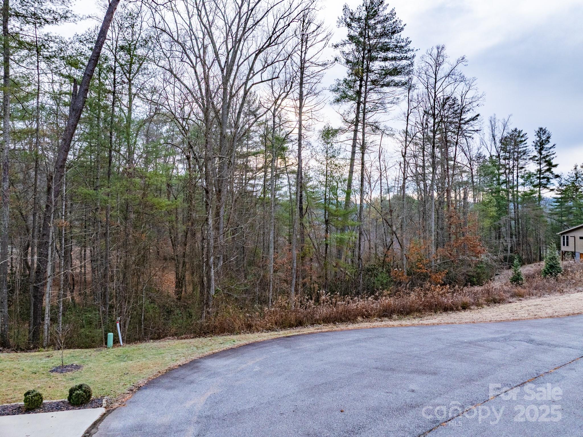 62 Crystal Cove Drive Hendersonville NC 28739
