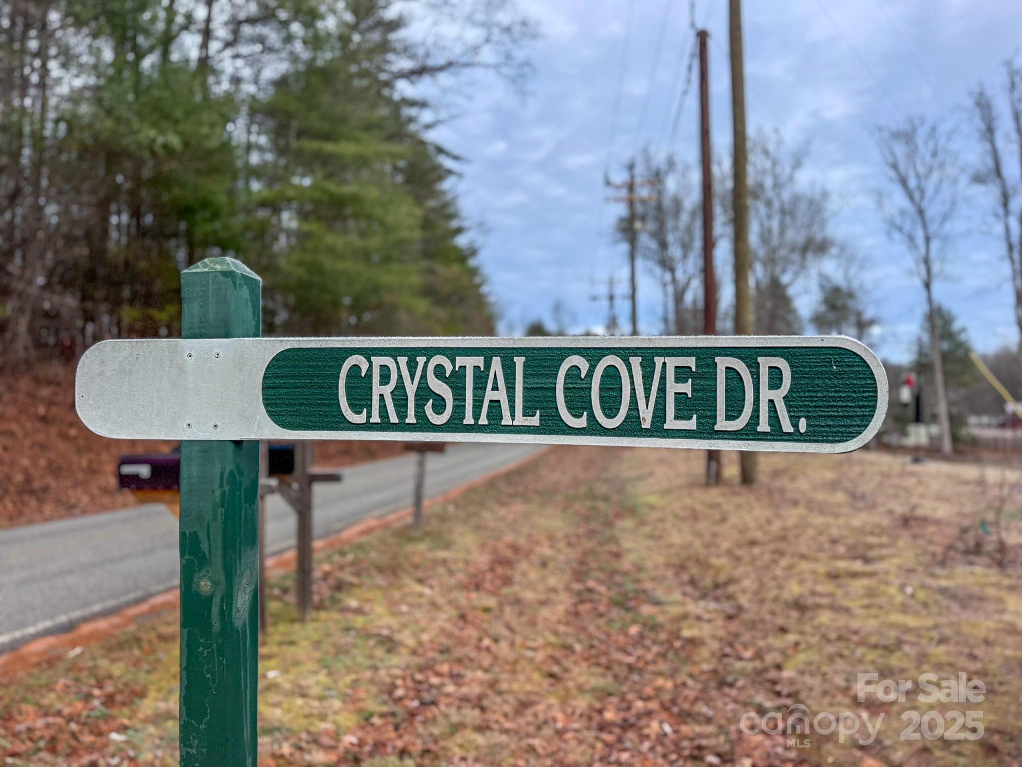 62 Crystal Cove Drive Hendersonville NC 28739