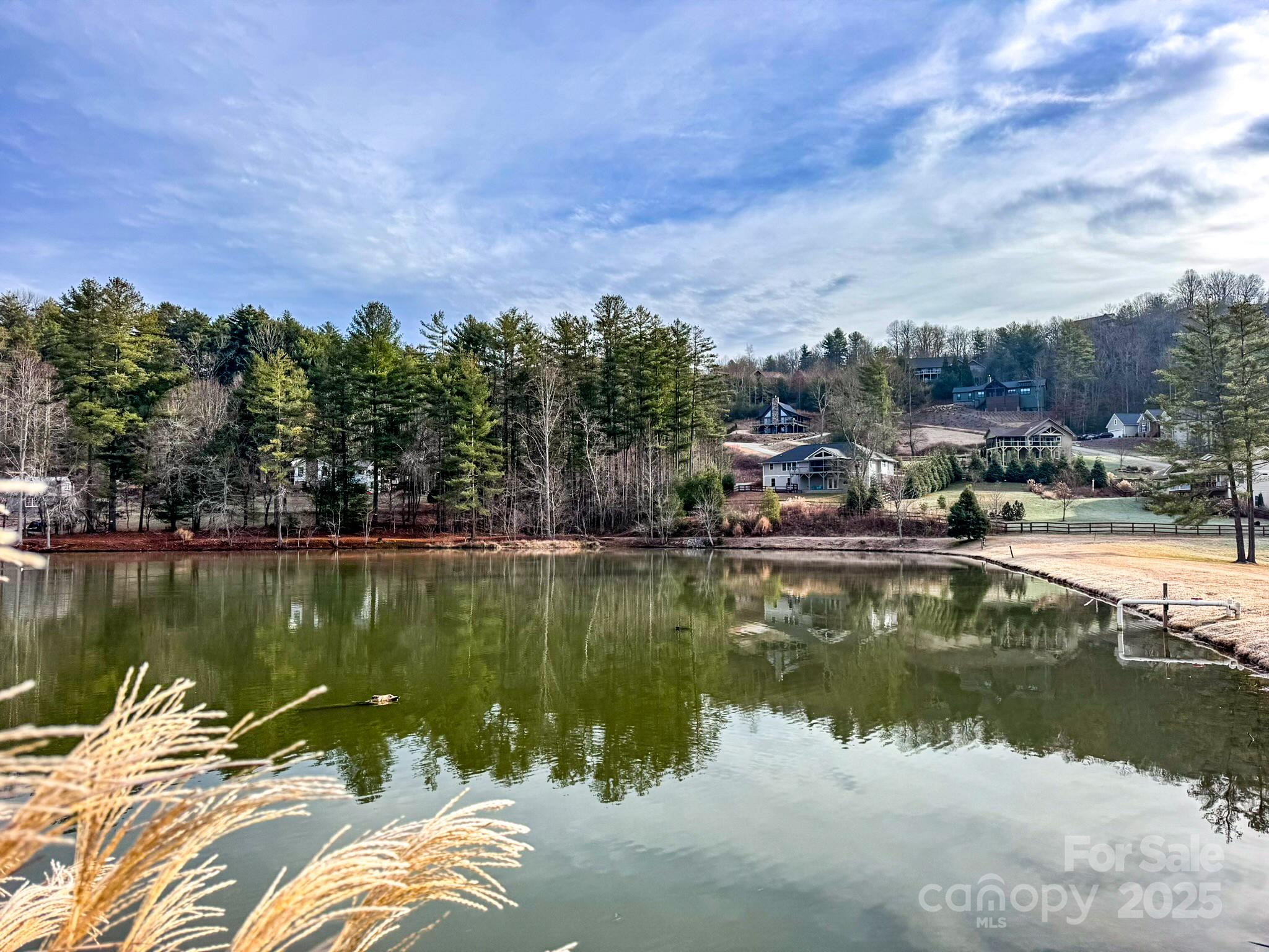 62 Crystal Cove Drive Hendersonville NC 28739