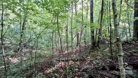 0 Cross Creek Circle Sylva NC 28779