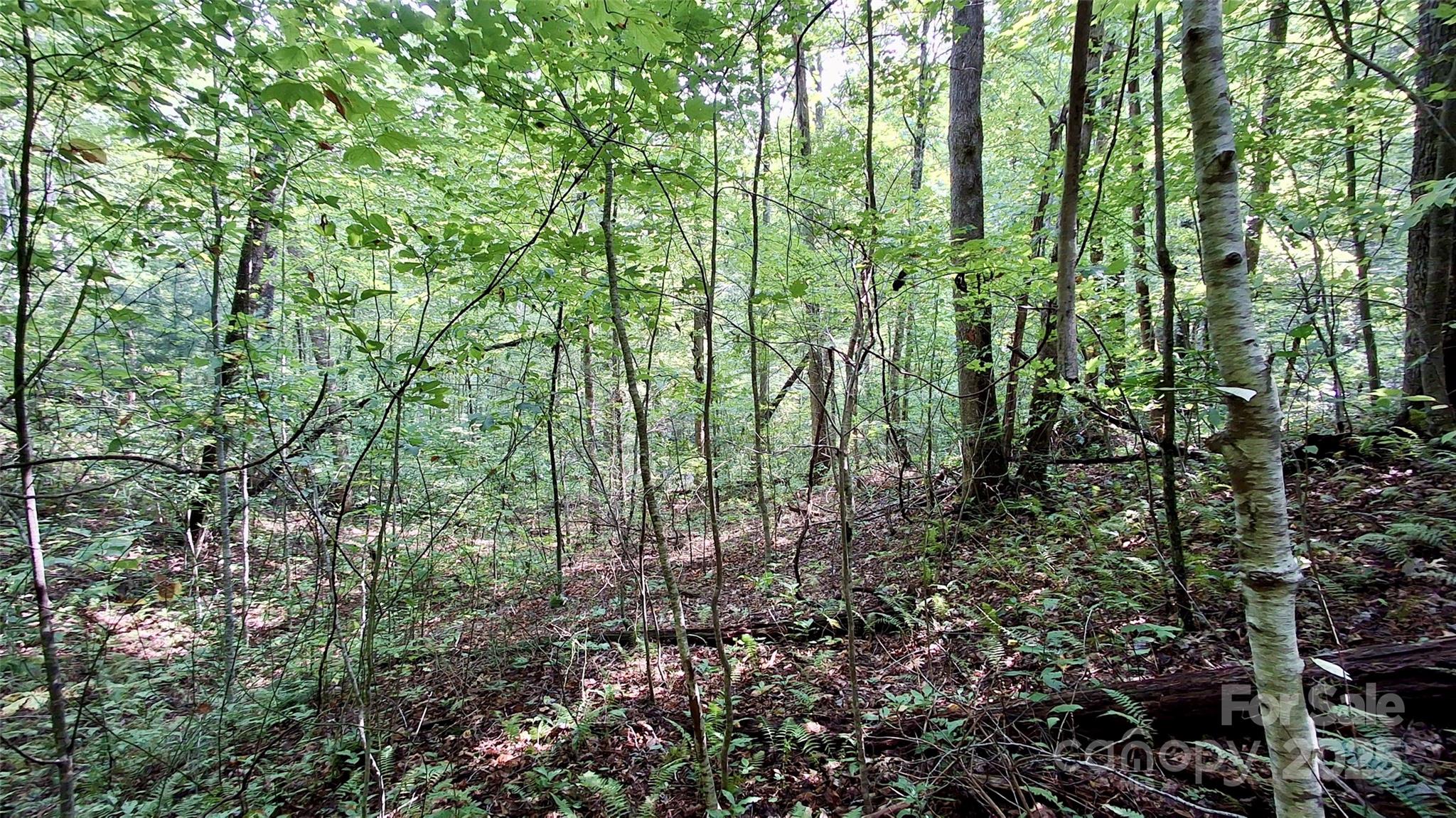 0 Cross Creek Circle Sylva NC 28779
