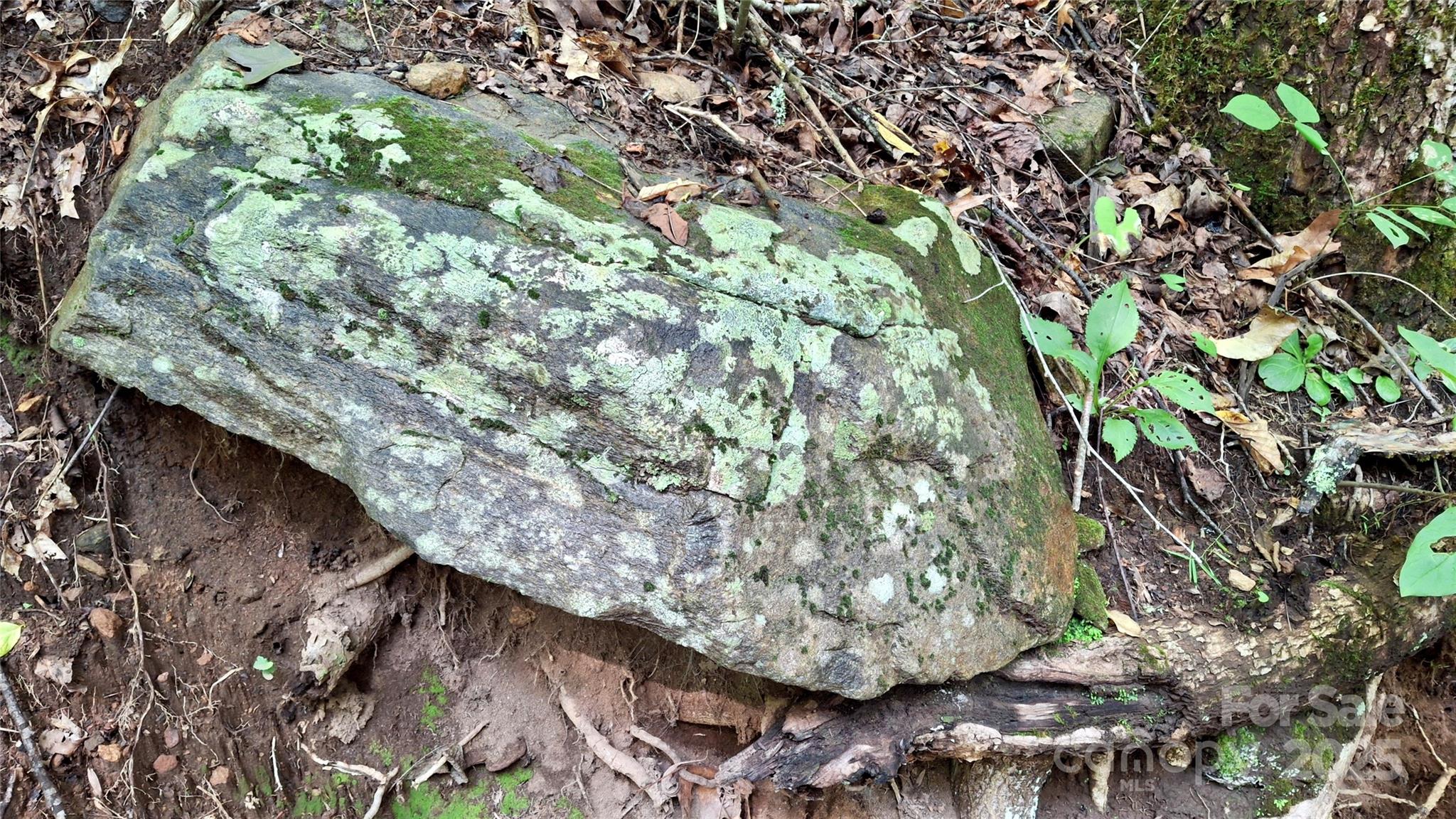 0 Cross Creek Circle Sylva NC 28779
