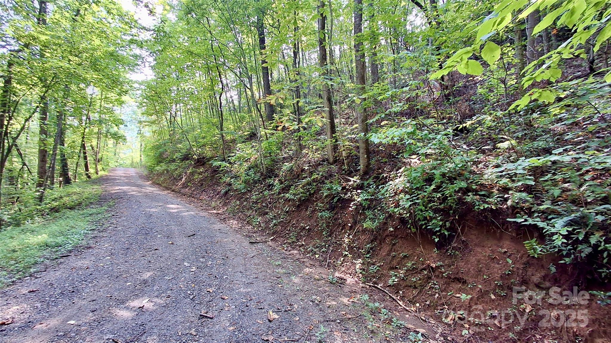 0 Cross Creek Circle Sylva NC 28779