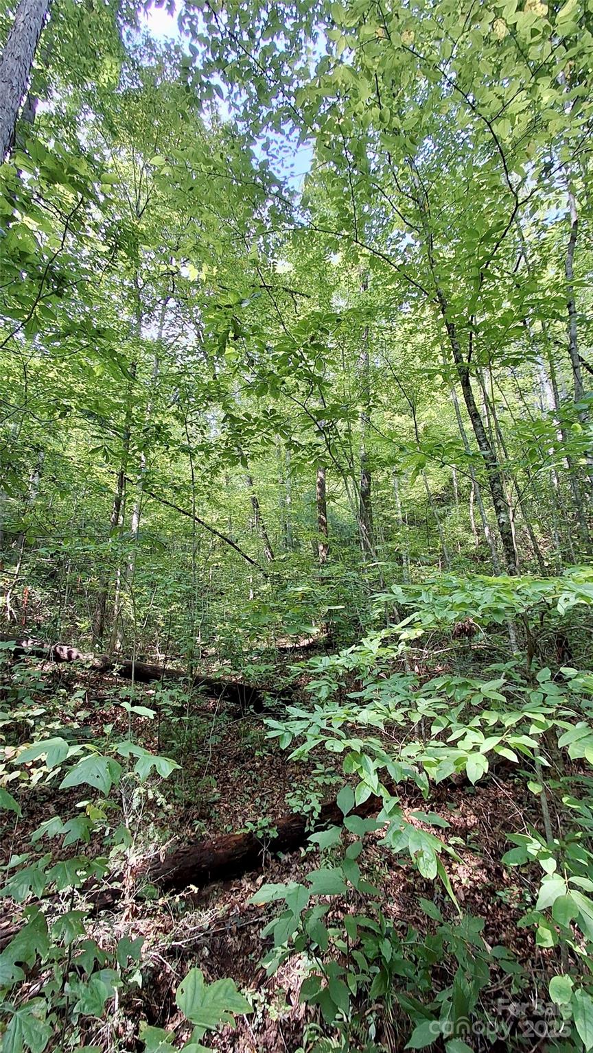 0 Cross Creek Circle Sylva NC 28779