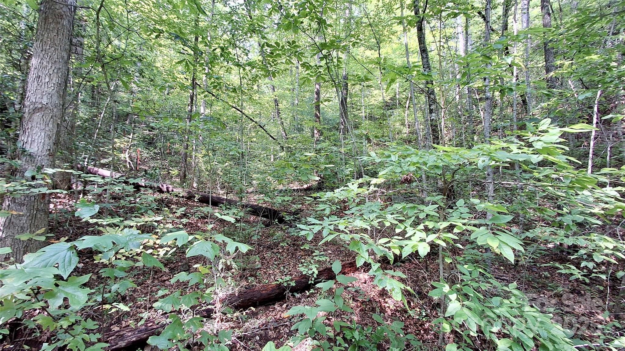 0 Cross Creek Circle Sylva NC 28779