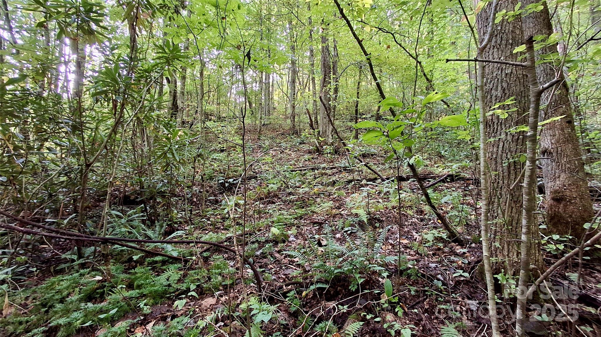 0 Cross Creek Circle Sylva NC 28779