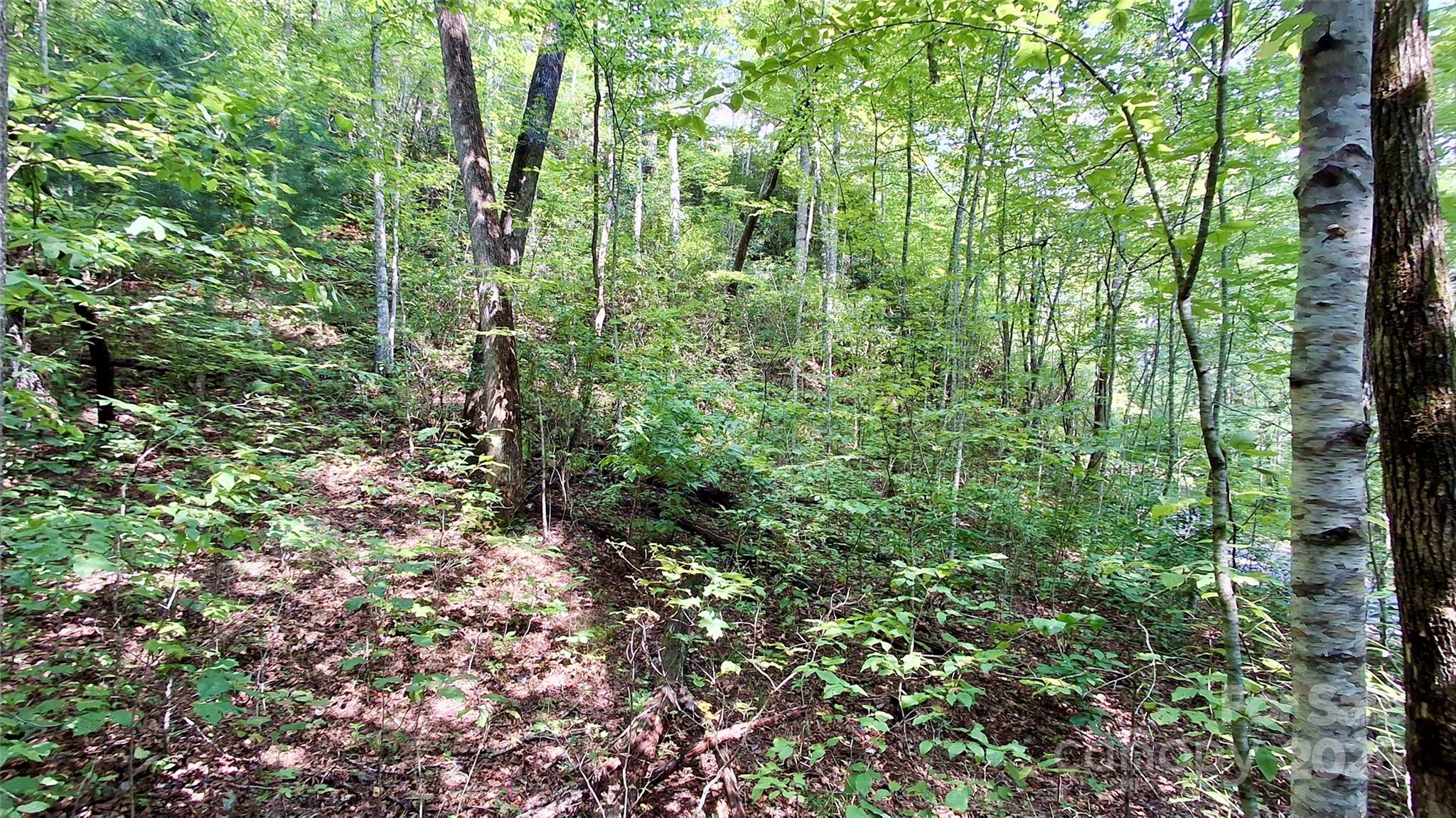 0 Cross Creek Circle Sylva NC 28779