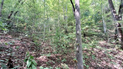 0 Cross Creek Circle Sylva NC 28779