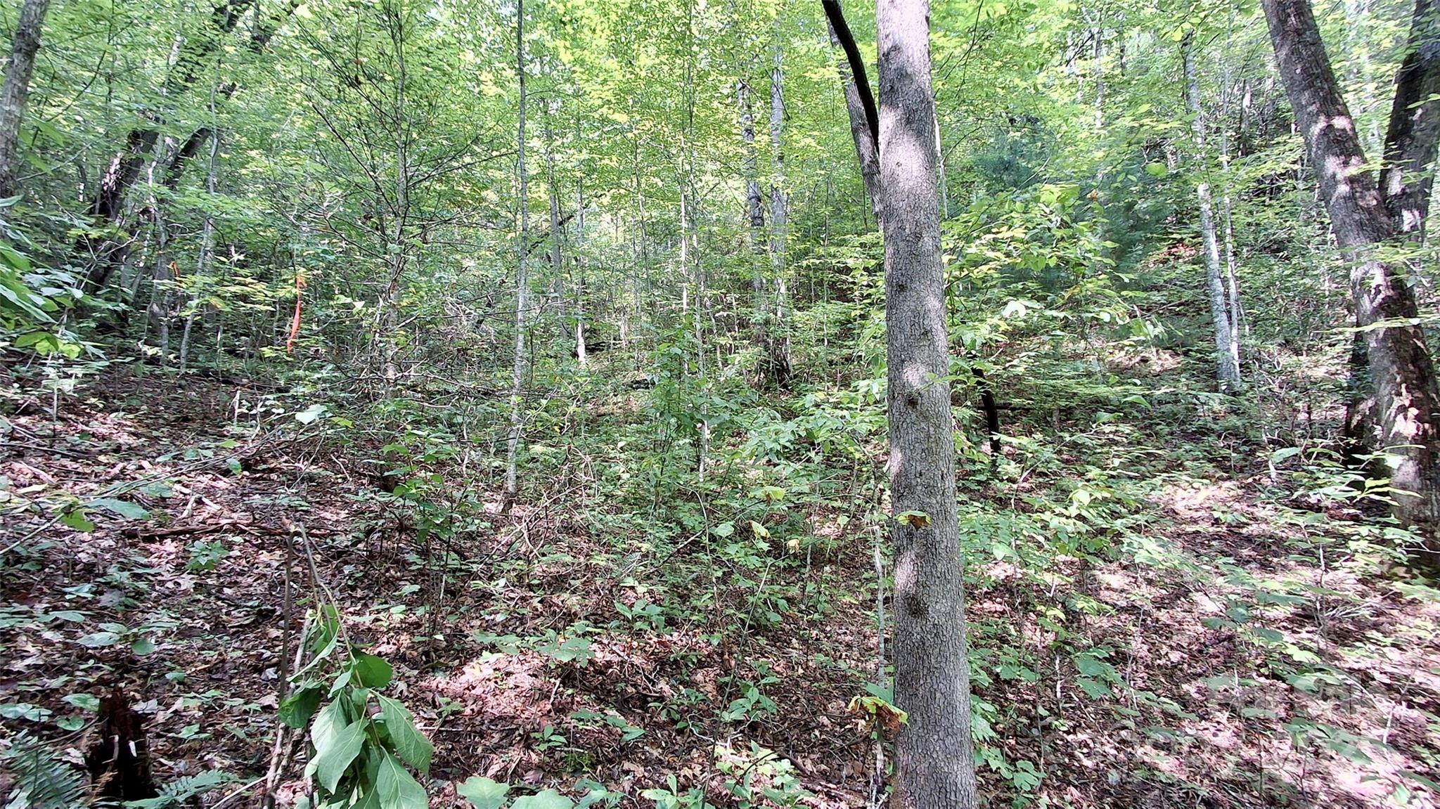 0 Cross Creek Circle Sylva NC 28779