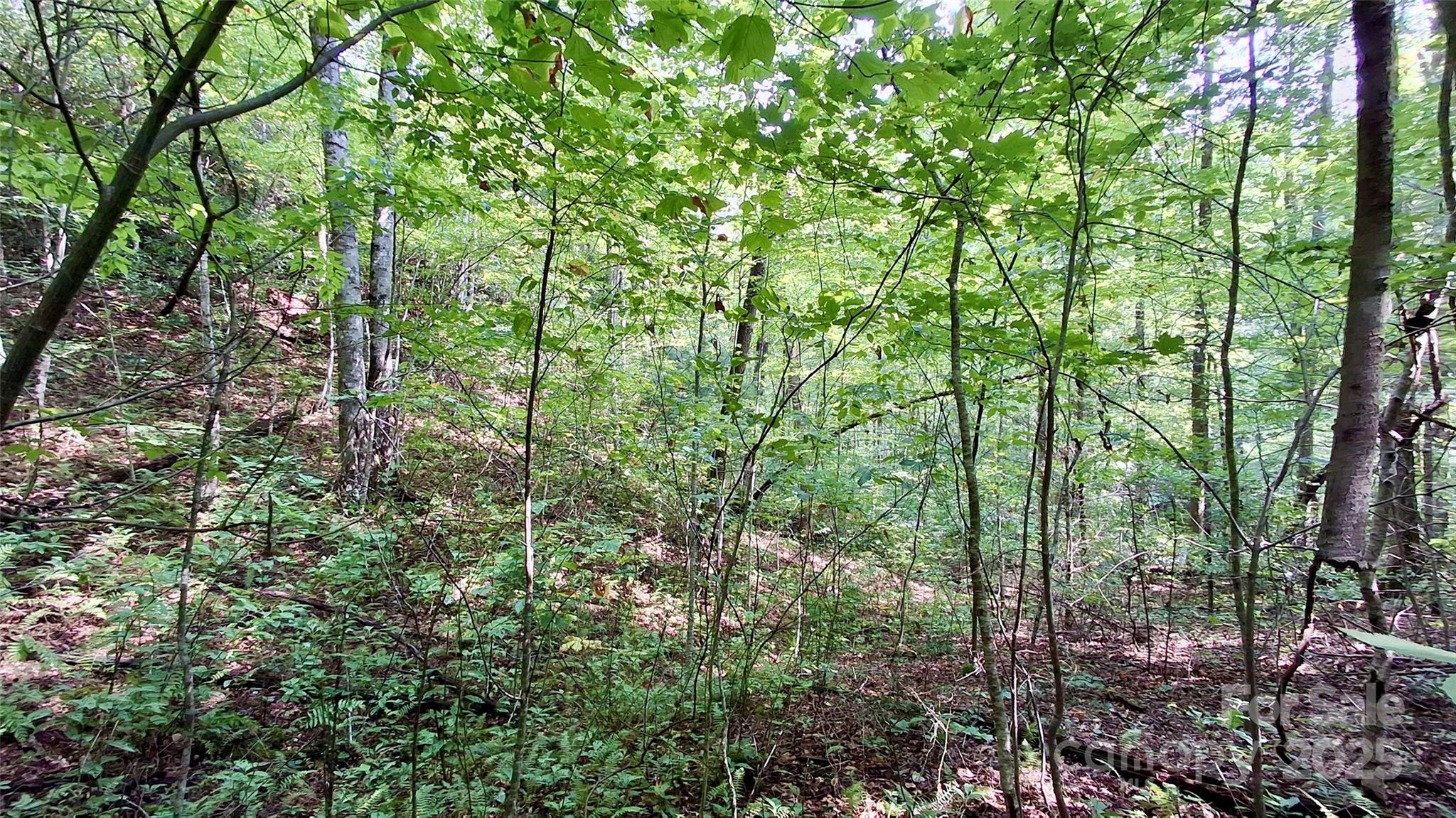 0 Cross Creek Circle Sylva NC 28779