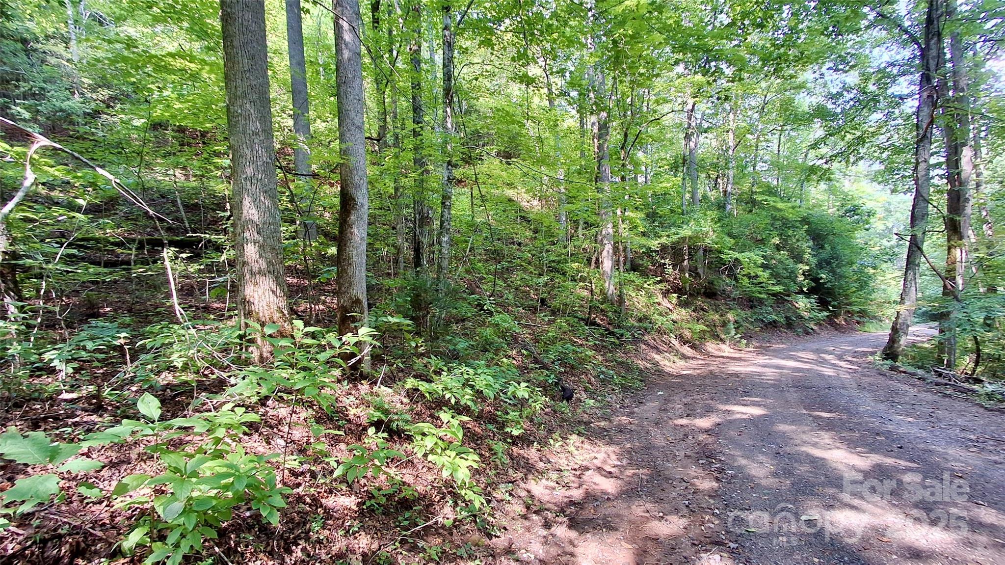 0 Cross Creek Circle Sylva NC 28779