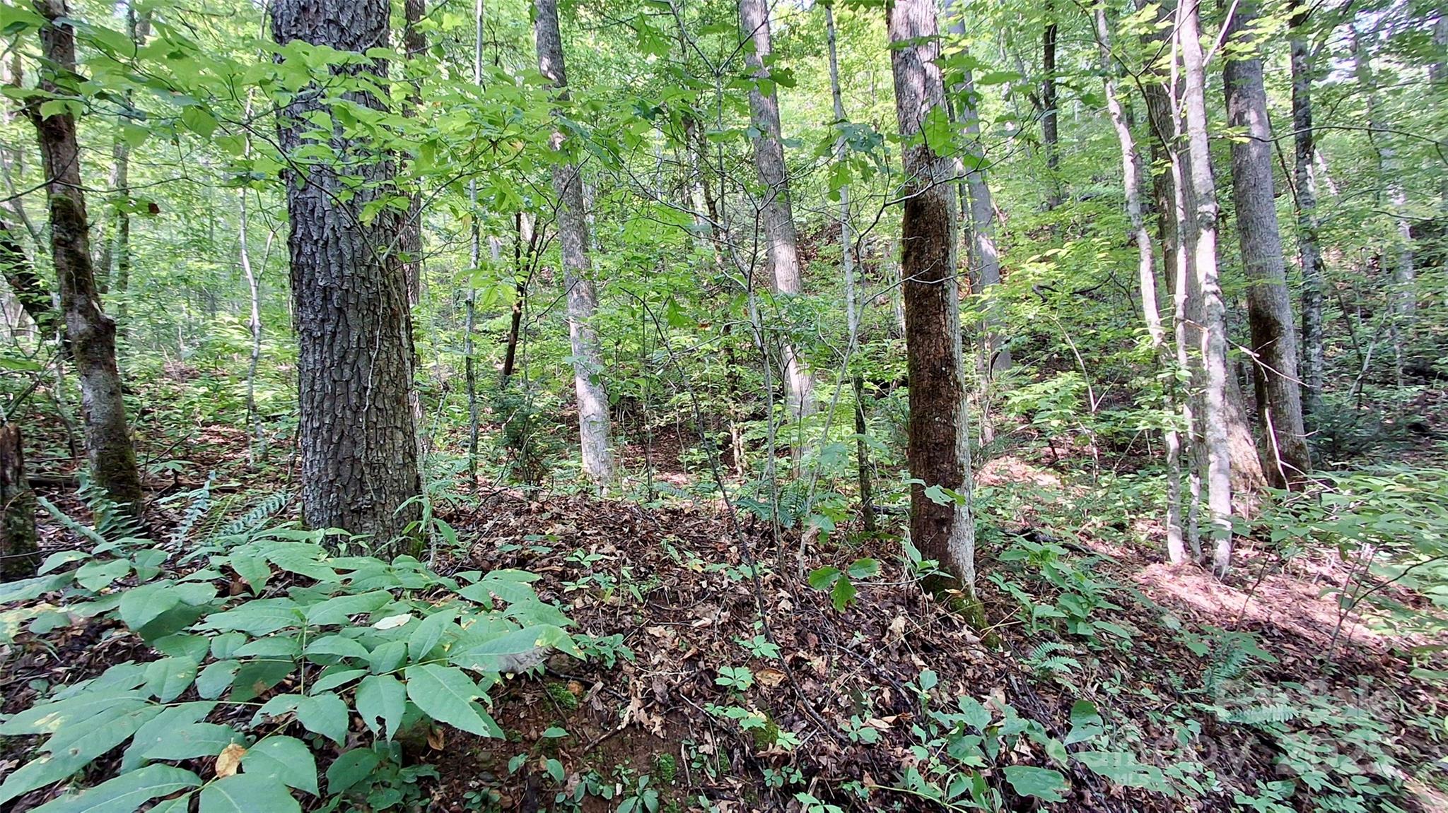 0 Cross Creek Circle Sylva NC 28779