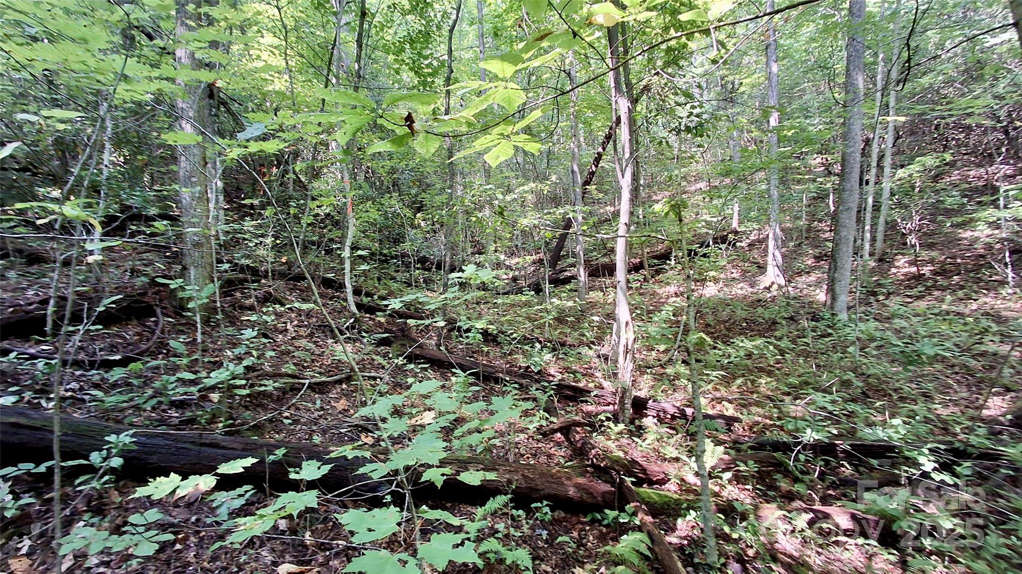 0 Cross Creek Circle Sylva NC 28779