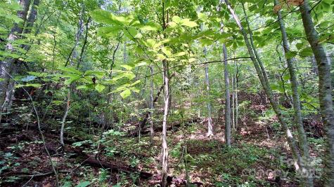 0 Cross Creek Circle Sylva NC 28779