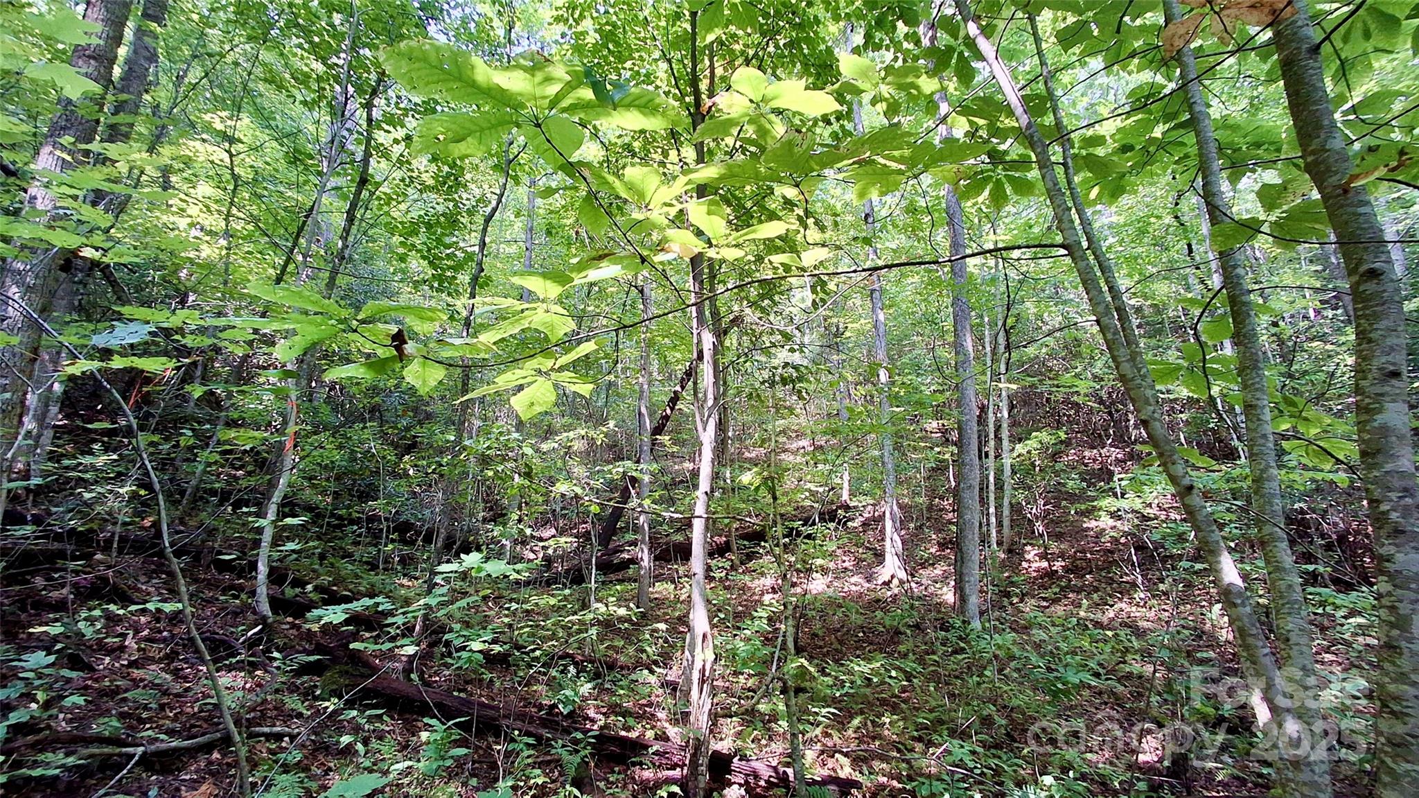 0 Cross Creek Circle Sylva NC 28779