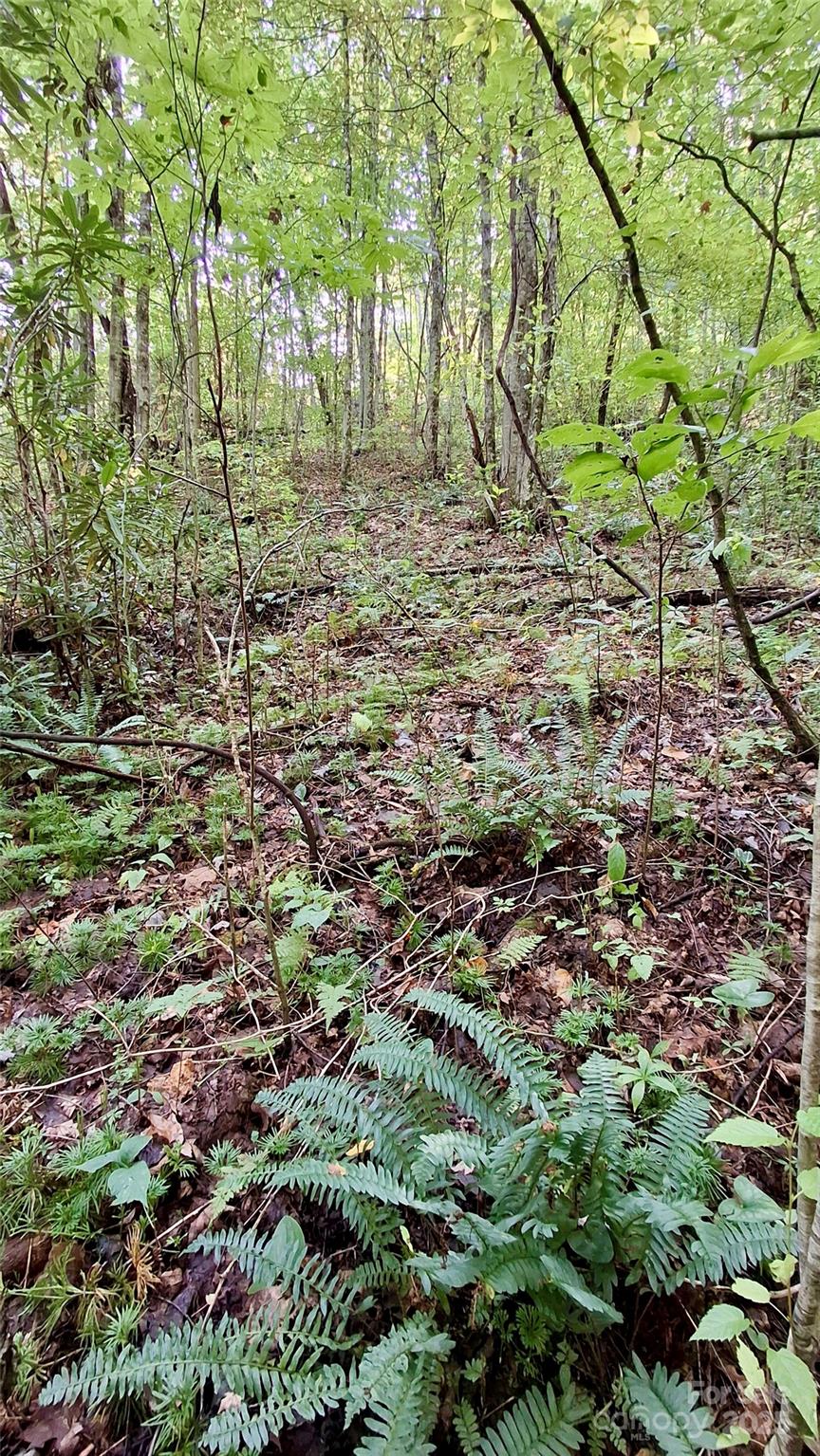 0 Cross Creek Circle Sylva NC 28779