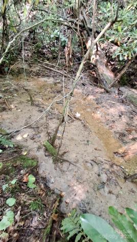 0 Cross Creek Circle Sylva NC 28779