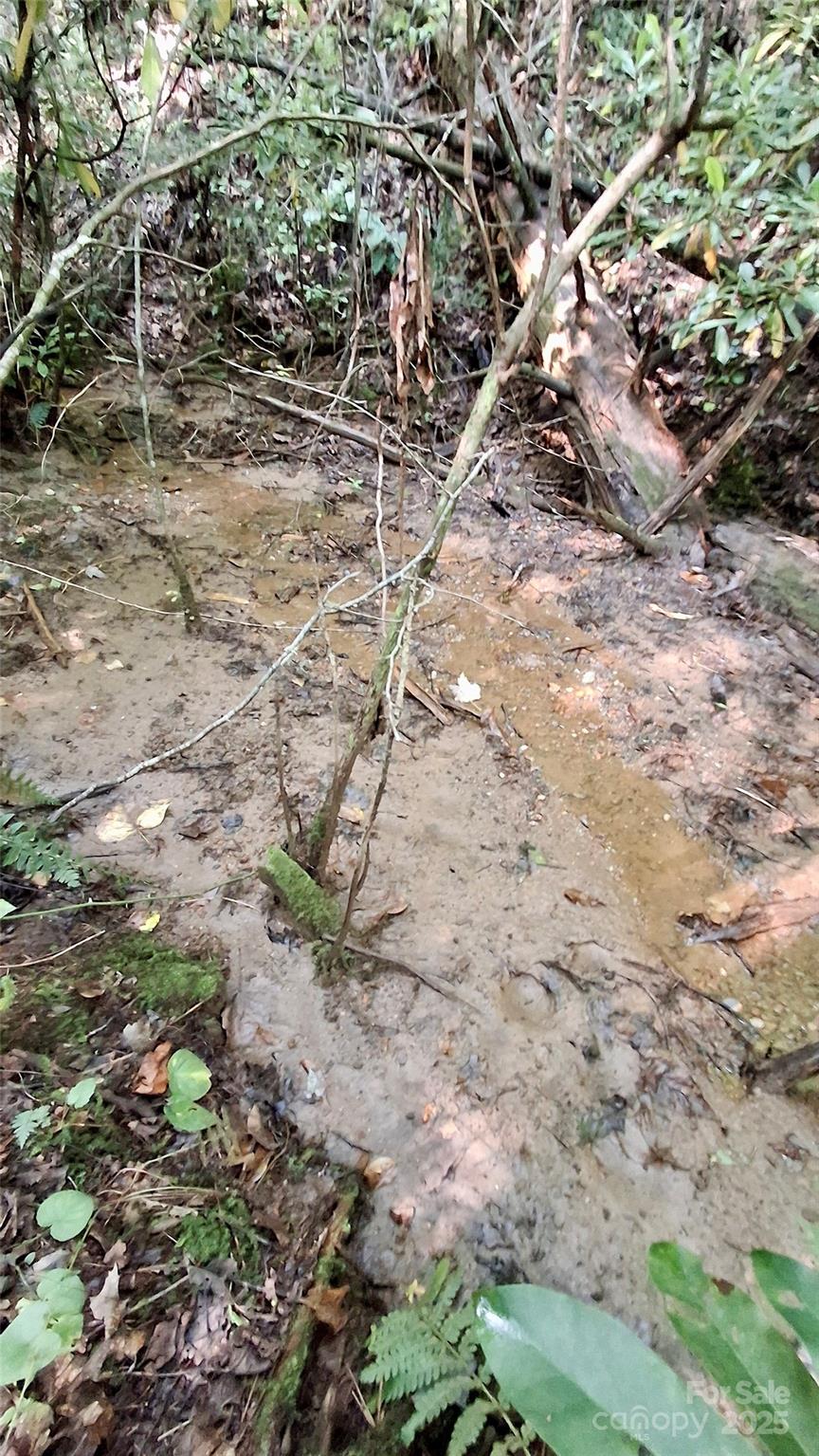0 Cross Creek Circle Sylva NC 28779