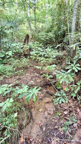0 Cross Creek Circle Sylva NC 28779