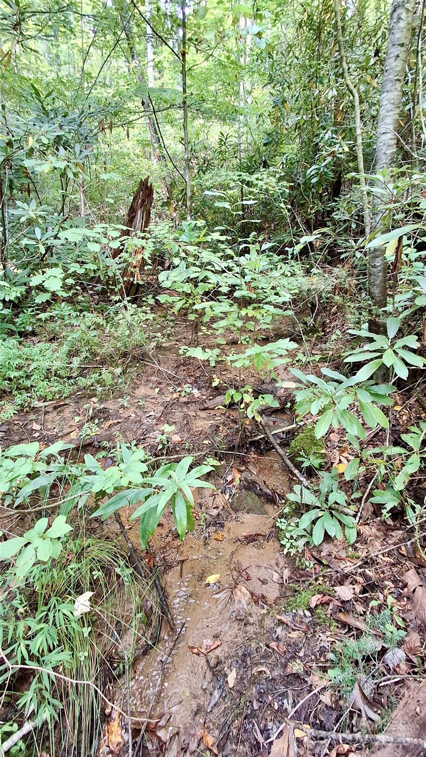 0 Cross Creek Circle Sylva NC 28779