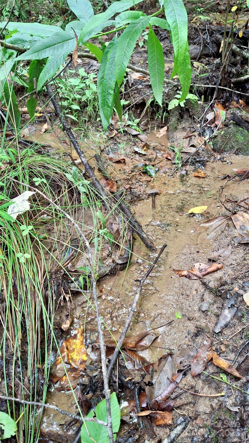 0 Cross Creek Circle Sylva NC 28779