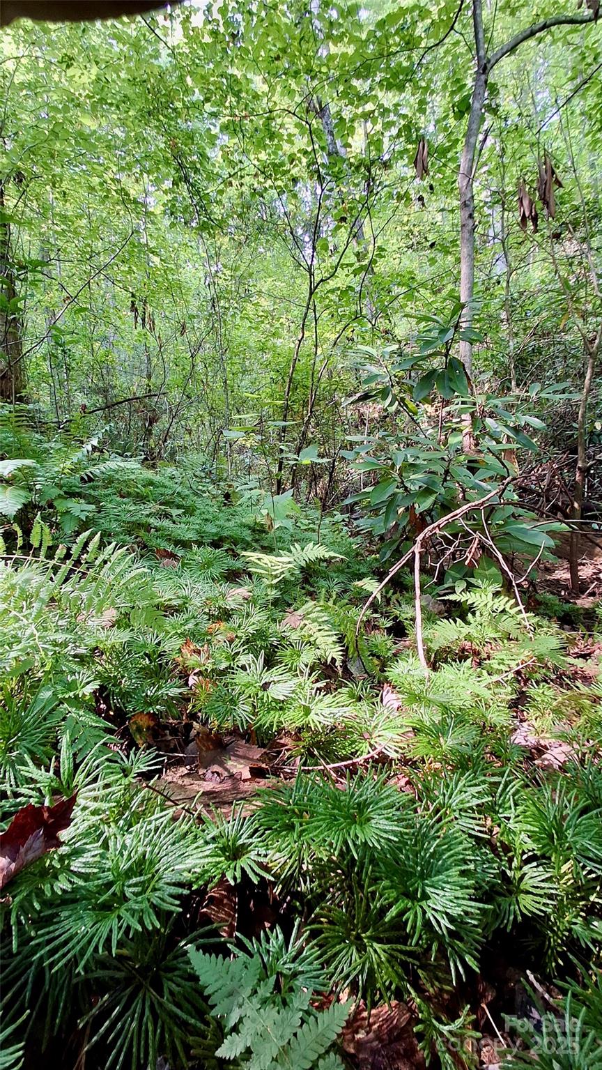 0 Cross Creek Circle Sylva NC 28779
