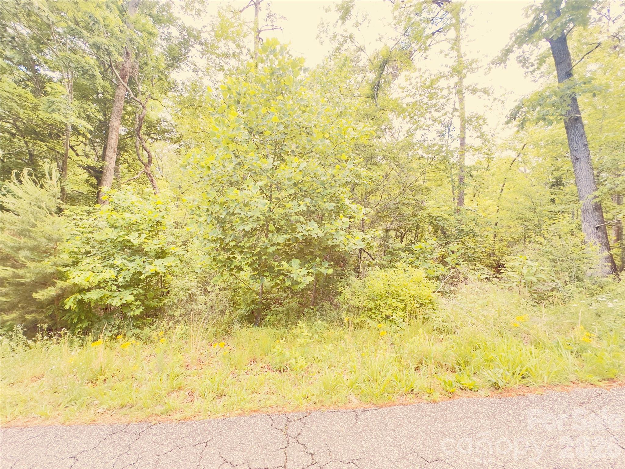 5 Cedarbrook Lane Nebo NC 28761