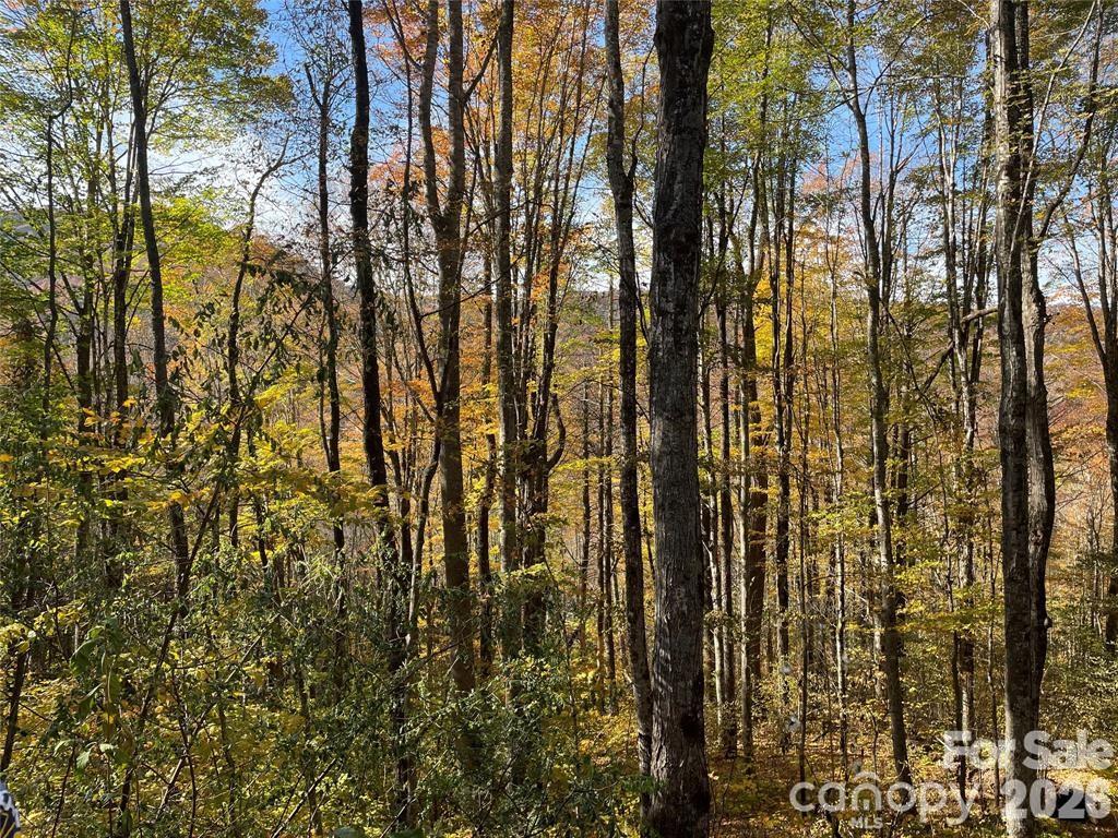 000 Shadyside Drive Waynesville NC 28785