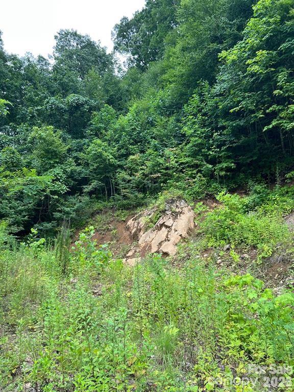 000 Shadyside Drive Waynesville NC 28785